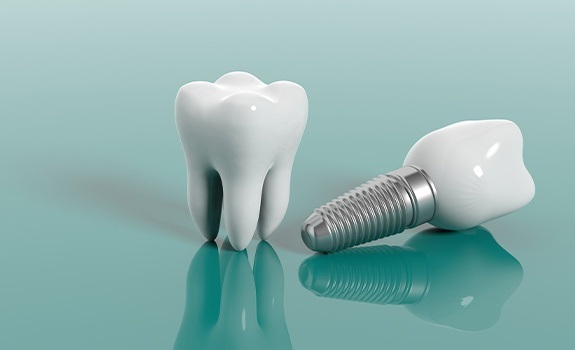 Model of a natural tooth and dental implant supported replacement tooth